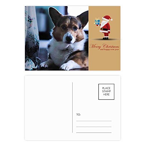 Cartes postales Corgi de remerciement pour partager la joie de Noël