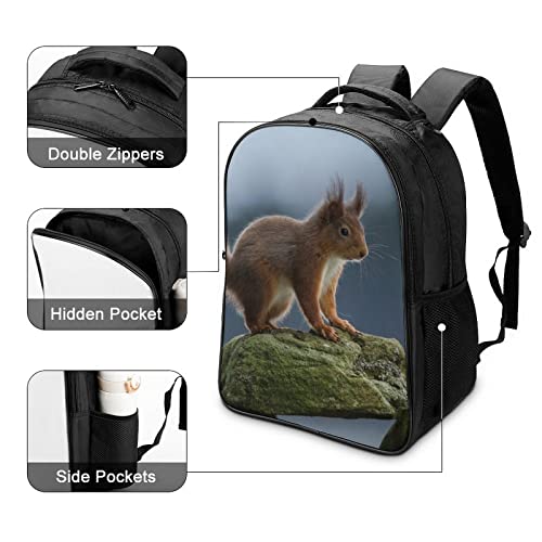 Mochila escolar unisex de ardilla 3D con medidas 40x28x16cm para adolescentes 4