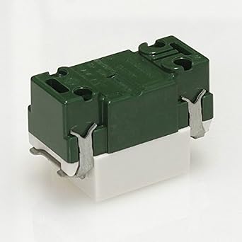 Panasonic WN1101SW Embedded Ground Outlet White