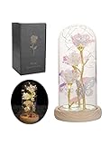 Lzvkdax Galaxy Artificial Rose, Beauty and The Beast Rose Gold Foil Rose Enchanted Colorful Rose, Mom Gifts, Mother's Day Birthday Gifts, Rose Flowers Gifts for Home Decor Unique Gifts for Women