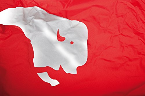 Tatonka Regenhülle Rain Flap, red, 12 x 9 x 9 cm, 80 Liter/xl – Ansicht 5