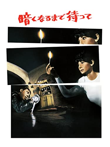 暗くなるまで待って(字幕版)のサムネイル