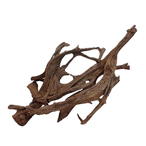 AquaOne Décoration de racine d'aquarium XXXL - Racine de mangrove Aquascaping - En bois véritable - N° 7004 - Décoration en bois - Plantes aquatiques - Paysage - Mousse naturelle