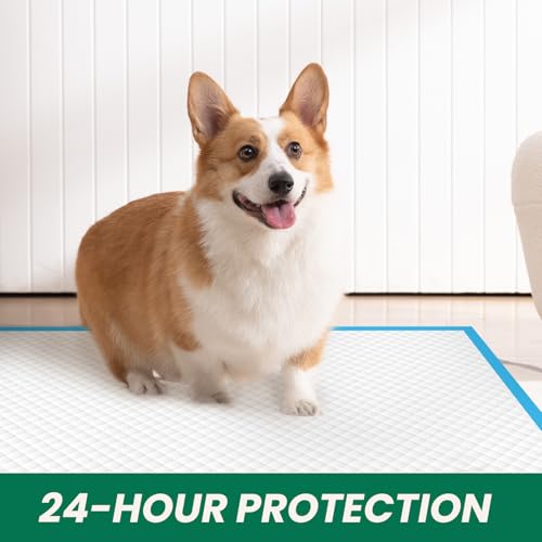 Image of 200 Count Large Dog & Cat Puppy Pee Pads - 28 inchx30 inch Absorbent Potty Training Pads | Leakproof Quick-Dry Disposable Pet Pads for Puppies, Dogs & Cats | Indoor, Outdoor, Litter Box, Housebreaking Use