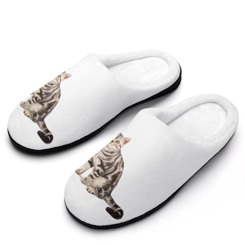 [ZKCASA] Xbp AJV[gwA L [V[Y   qp h  g 􂦂 ~ jp I[V[Yp 9-10i42-43j