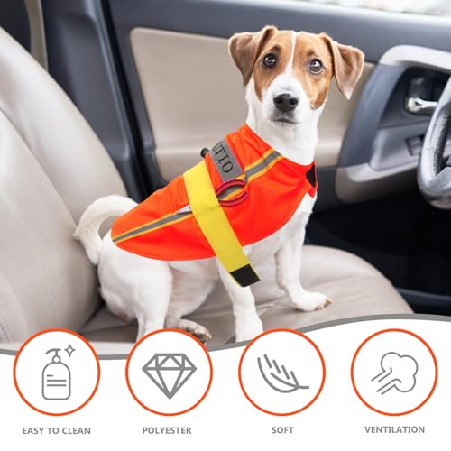 Disfraz para perro Beaupretty L Naranja miniatura 4