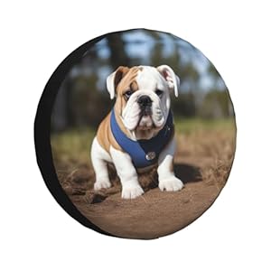Nabea Reifenabdeckung mit Englischen Bulldoggen