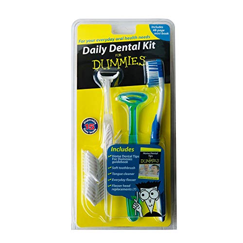 Best Home Maintenance For Dummies Book 2024 Where to Buy?