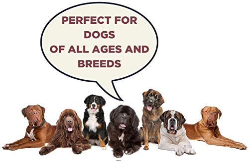 Gentle Giants All Natural Dog Food, 18 Lbs - Dry Grain-Free Salmon Dog Food With Non Gmo Fruit And Vegetables - World Class Canine Cuisine - Complete Nutrition For Small, Medium, Large And Giant Dogs #TOP4
