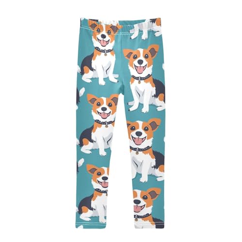 Dog in Collar Girls Leggings,Workout Leggings for Girls Toddler Athletic Legging Size for 3-10T