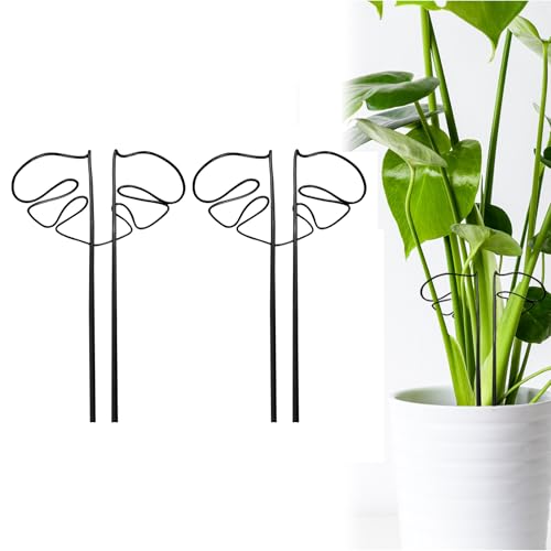 Gabbia ad anello per piante da giardino, in metallo, da giardino, Monstera, per piante da interno, per verdure, pomodori, peonie, rose Monstera, fiori (nero x 2)