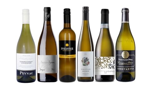 The Wine Guys Probierpaket „Die Weißwein Weltreise“| Weinpaket mit sechs verschiedenen Flaschen Weißwein aus aller Welt (6 x 0,75 l) | Ideales Wein Tasting-Set