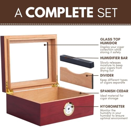 Image of Mantello Cigars 25-50 Cigar Desktop Humidor Humidifier Royale Glasstop