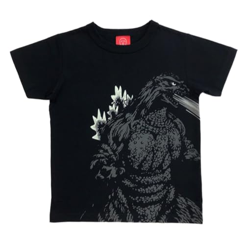 { TVc SWbOJICO ˔M ~TVc 12A jZbNX LbY fB[X Y ubN yOfficialz