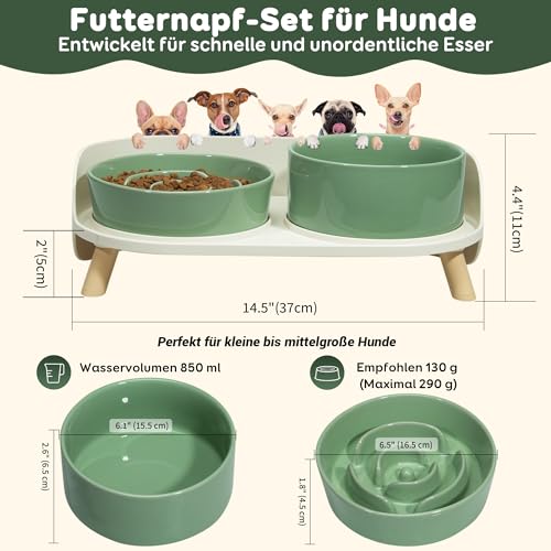 Antischlingnapf Hund Keramik Napfset erhöht - Hundenapf für langsames Fressen - Doppel-Fressnapf für kleine und mittelgroße Hunde - Futternapf & Wassernapf mit rutschfestem Ständer