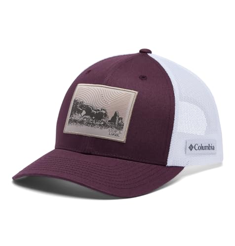 Image of Columbia Mesh Snap Back
