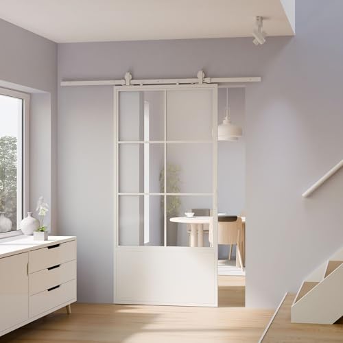 inova Glasschiebetür Komplettset 1025x2200mm aus Stahl in weiß mit Glaseinsatz