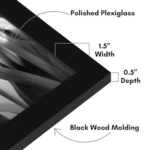 Americanflat 14x16 Picture Frame with Polished Plexiglass - Black Picture Frame - Wide Photo Frames Made of Engineered Wood for Vertical or Horizontal Wall Display - Epic Collection - Black