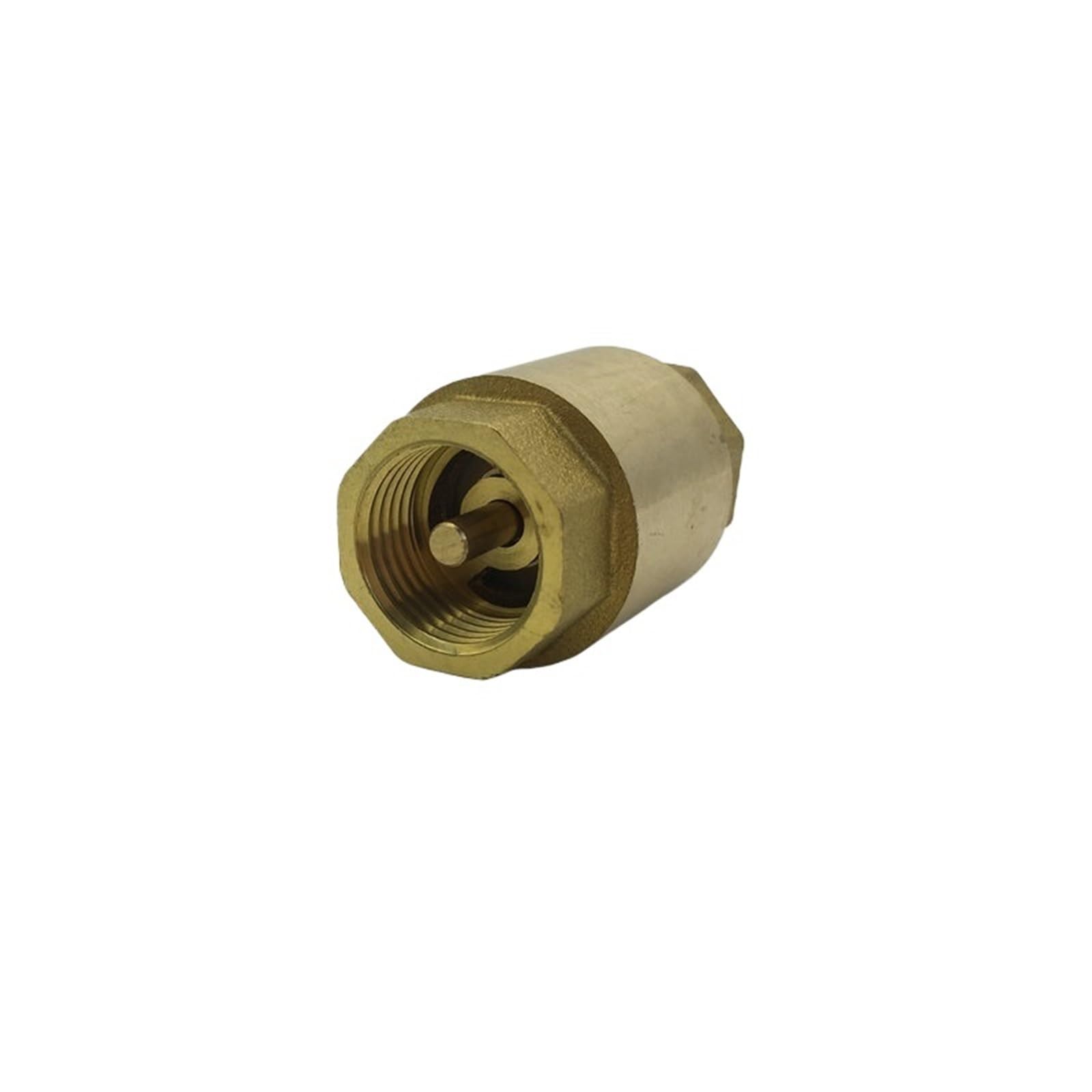 Dkgnyxnplj 1-1/4 1/2" 3/4" /2" Brass Thread In-Line Spring Check Valve 1-Way Anti Backflow Valve(")