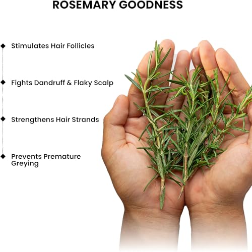 Image of ThriveCo Complete Rosemary Hair Growth Kit: Shampoo (250 ml), Conditioner (250 ml), and Hair Growth Serum For Scalp, 50ml