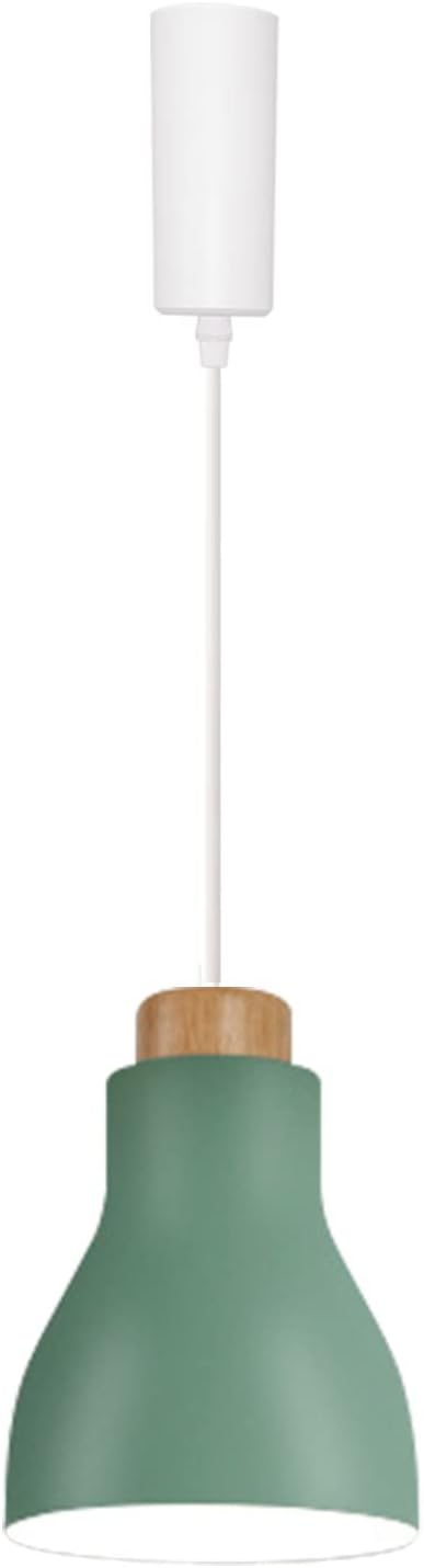 Fsliving ペンダントライト ダクトレール式 長さ調節可 1灯 Led対応 おしゃれ ダイニング 北欧 天井照明 照明器具 キッチン リビング 照明 子供部屋 マカロン グリーン B09m7zbv38 7873 4h1 ペンダントライト Www Mantraman Com Mx
