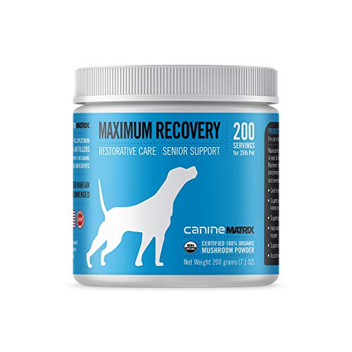 Canine Matrix Organic Mushroom Supplement for Dogs, MRM Recovery, 200 Grams