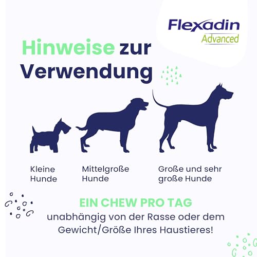 FLEXADIN ADVANCED® Hund | Für die Gelenkgesundheit | undenaturiertes Kollagen Typ II & Boswellia – 60 Gelenkleckerli