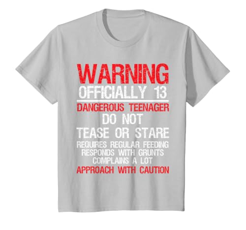 13 Years Old Warning Dangerous Teenager 13th Birthday T-Shirt, Youth, Silver Grey, Small