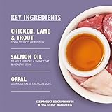 Lily’s Kitchen Mature Wet Cat Food Tray Chicken Paté Grain-free Recipe 19 x 85g - Image 2