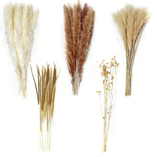 Houbobo 100Pcs Pampas Grass Boho Home Decor Natural Phragmites Dried Flowers Bouquet DIY Boho Plants for Wedding Floral Arrangements Home Decorations