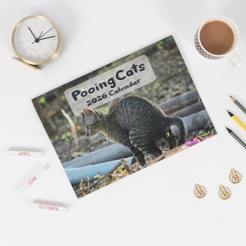 2026 Funny Cat Pooping Calendar - Image 8