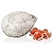 Fiocco, Charcuterie de Porc Maigre, produit typique italien, Salumi Pasini, 1,7 kg