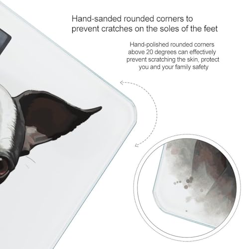 Báscula digital Boston Terrier para peso corporal miniatura 4