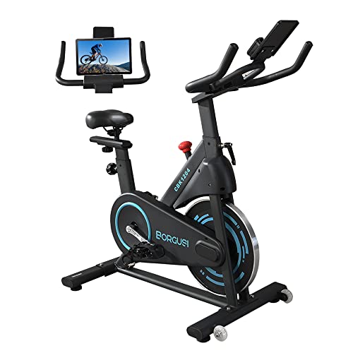 Borgusi Exercise Bike Stationary Bike For Home, Indoor Spin Bike With 35Lbs Flywheel, Spinning Cycling Bike With Tablet Holder & Lcd Monitor, Adjustable Resistance & Comfortable Seat Cushion #TOP9