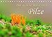 Produktbild Die bunte Welt der Pilze (Tischkalender 2022 DIN A5 quer) [Calendar] LianeM [Calendar] LianeM