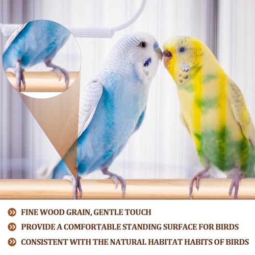 Image of Sintuff 8 Pcs Bird Perches for Cage Accessories, Wooden Perch Rods Replacement with Double Head Slots, 0.6 Inch Diameter Natural Wood Stand for Parrot Macaw Cockatoo Parakeet (30 Inches)