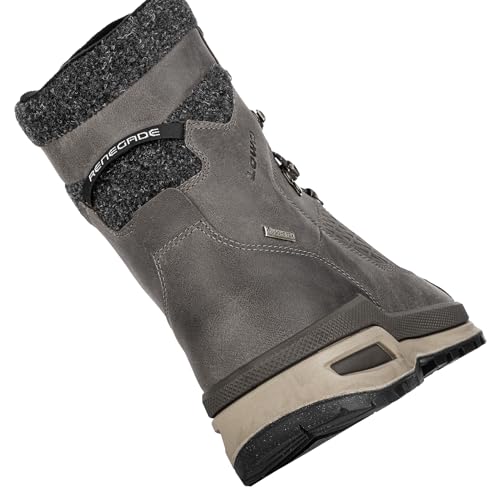Image of LOWA Men's Renegade Evo Ice GTX High Rise Hiking Shoes