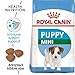 Royal Canin Mini Junior Trockenfutter für Hunde, 2 kg