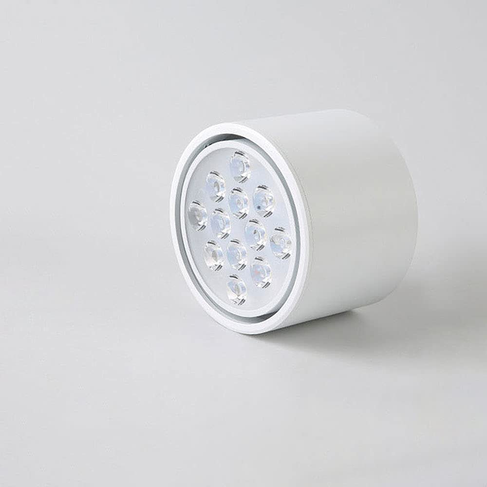 Spot de plafond orientable 9W pour éliminer les zones d'ombre sur vos tableaux