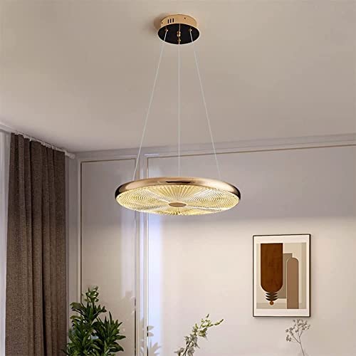Chandelier LED suspendu moderne 30cm avec intensité variable pour le salon - 7
