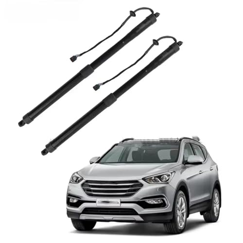 Ressort à gaz arrière L+R pour hayon électrique Hyundai 81771B8100