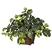 Nearly Natural 6704 Pothos with Coiled Rope Decorative Silk Plant, Green