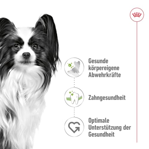 ROYAL CANIN X-SMALL Adult Trockennahrung für Hunde – 0.5 kg – Ansicht 2