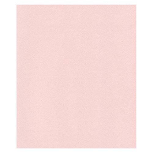 エスケント ケント紙 スターカラー 四切 ライトピンク 100枚 5728004