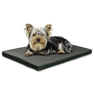 Furhaven Water-Resistant Dog Bed for Small Dogs w/ Removable Washable Cover, Perfect for Crates & Kennels, For Dogs Up to 25 lbs – Two-Tone Reversible Crate Pad – Green/Gray, Small