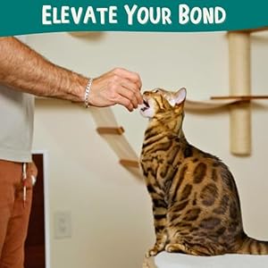 ALBERT-MIA-Cat-Training-Kit-4-Pieces-Quiet-Clicker-Target-Stick-Clicker-Treats-Pouch-Cat-Clicker-Training-Start-Guide-Beginner-to-Expert - Cucciolini Doodles   ALBERT-MIA-Cat-Training-Kit-4-Pieces-Quiet-Clicker-Target-Stick-Clicker-Treats-Pouch-Cat-Clicker-Training-Start-Guide-Beginner-to-Expert