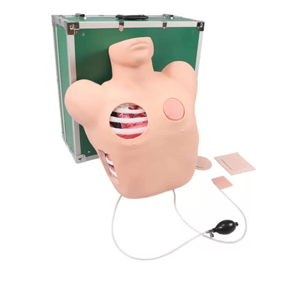 Mannequin Formation À Thoracentèse Mannequin Humain Simulé Modèle Drainage du Pneumothorax Après Un Traumatisme Thoracique Modèle Drainage Thoracique Fermé Formation Hospitalière 51X49x20cm