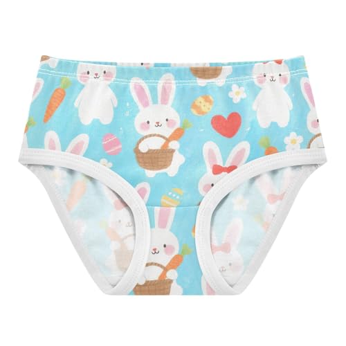 Training Panties Hipster Triangle Panties Breathable Underwear for Baby Girls in Sizes 2T,3T, 4T, 5T, 6Y and 8Y
