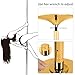 T-explorer Professional Stripper Spinning Dancing Pole Portable Removable 45mm Home Party Bar Gym Exercise Fitness Weight Capacity 330lb Gold Color