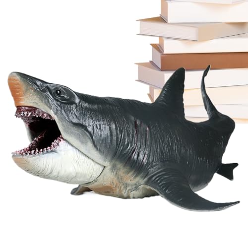 Jouet requin réaliste, le cadeau idéal pour étudiant en biologie et passionné de l'océan